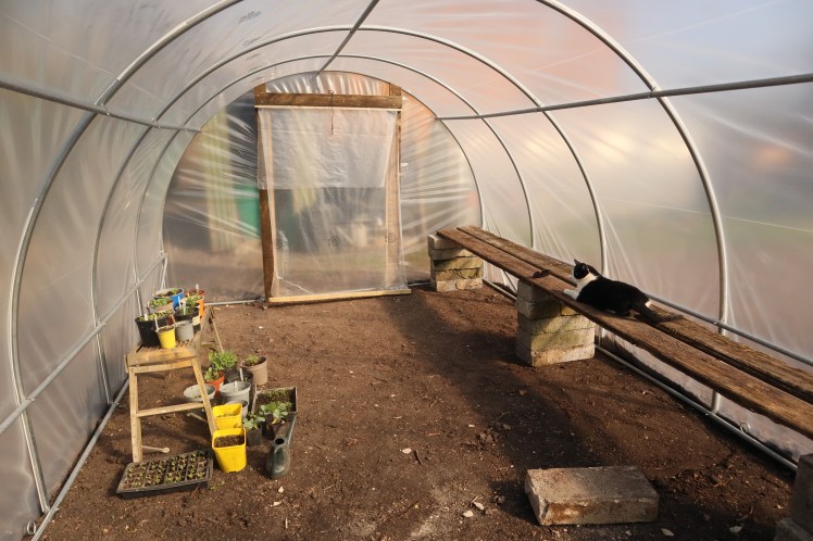 New Poly Tunnel